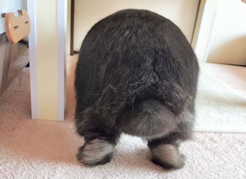 56908467-76CB-455D-95A4-BBCF68897B29