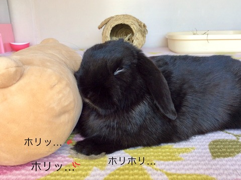 921598D9-E17B-4606-9834-CC4634A961CB