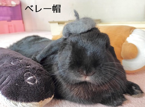 B459D9E9-E43F-49FF-BA8B-AFA1A49F7B64