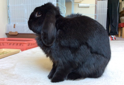 492786A9-0FBF-453D-A400-8610197D5073