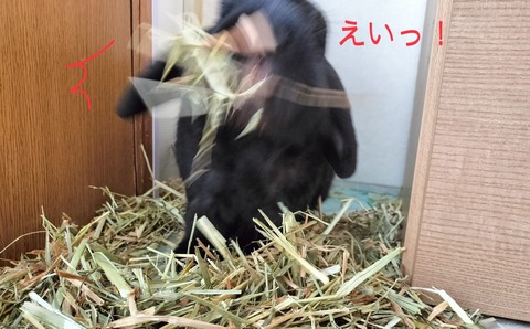 07F7B993-F1F6-49D7-A180-F68DD7698AEE