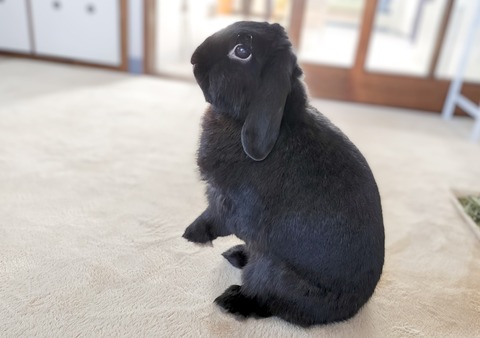 0BBB511E-1031-425A-9174-8E570A6CCD82