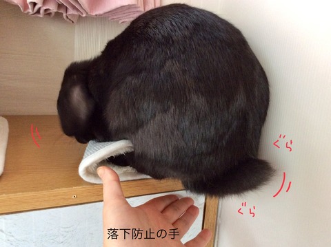 A705145B-989B-4B82-BCB5-199094FA8F87