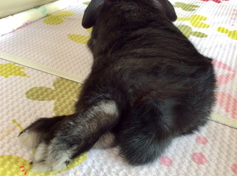 14F47642-C5E0-4C0E-A14A-32529D3A900B