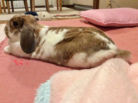 14F0C15B-E629-4895-9964-D9A7F4E7B707