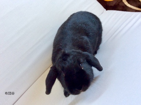 0FD707BB-3D0F-4422-AACE-42AF927A96ED