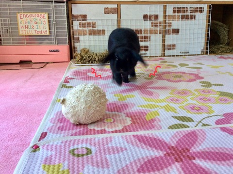 CF96562D-A257-4202-A6F9-F135F901D7A4