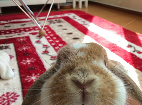 53740449-735E-4833-B137-C492B4518207