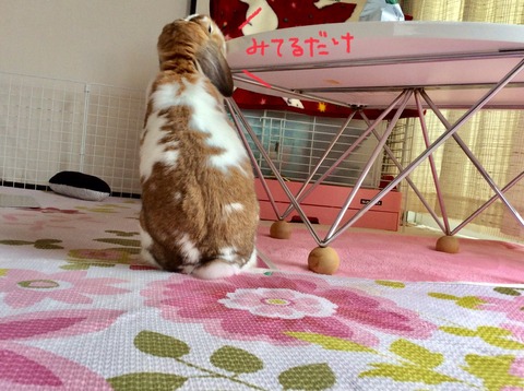 FEA0BC1A-F3F2-4484-962F-3CCD1B3000E9