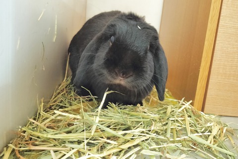 421FE1D3-921E-4305-9039-930D6183F897