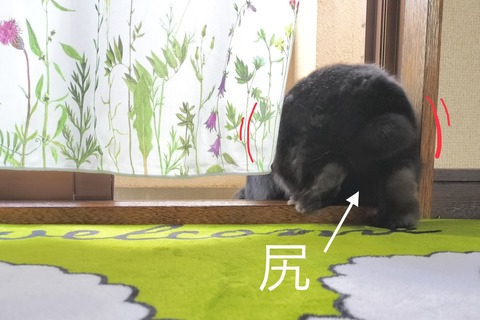 77A73982-9854-48A5-AAA4-9031D74BFD95