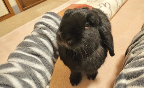 316A33E8-C864-4618-9904-AE7F5CDD0AD7