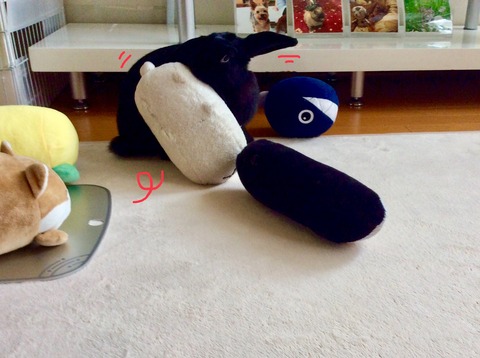 A4DB3C46-5894-46FD-812E-AC2287F1F7CC