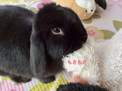 EF48CF5A-BBFE-4C9C-B3B8-32D559B16978