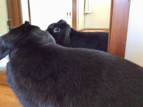 02C7BC01-AFFF-47F9-A3DC-8DAD71D0058A