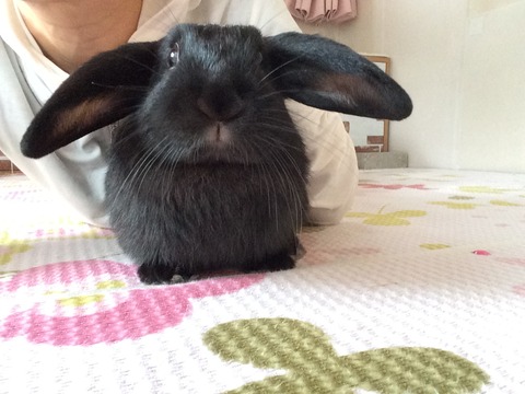 9520CB65-D38A-45AE-8F1C-0D5D7491C2B7