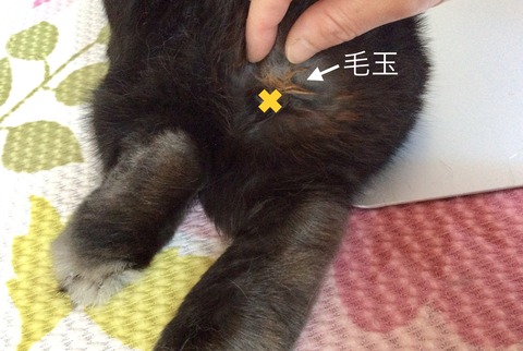 848A0A4F-A389-4848-954B-C0CBC721AEB0