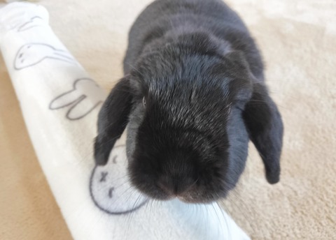 DE2515E6-C551-4CC4-8EB4-47C573B07649