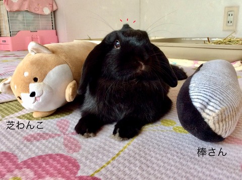 ADAD98CA-2831-4225-BD88-060D082B6A61