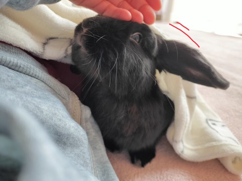 99748DC3-D22E-44F0-9335-4C5CB29AE0CA