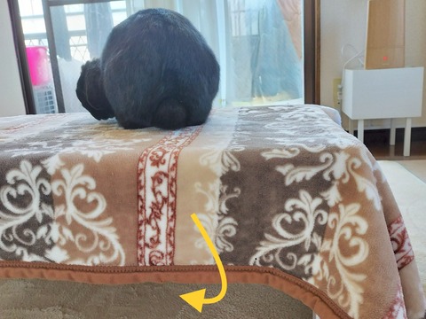 4BC459C3-1E72-4321-B6A8-CDA9E7C8F044