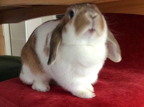 654FBF91-D97A-4C6C-821F-B6EFB75B82DA