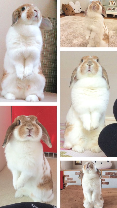 67DD385B-7897-4870-9F31-71A27A4D50EB