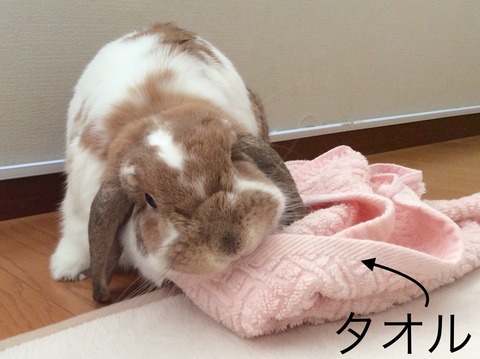 376EFC5C-B5F2-49E9-86F0-8CD88FD3BEFD