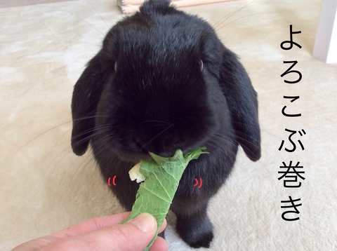 685386A8-6634-405F-8BF2-A6CE3A30F7A4