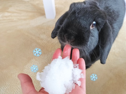 A277E2EE-F248-4154-BE71-69877C1C440F