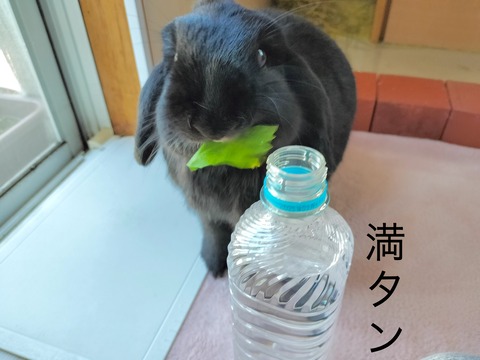 42321275-EB75-44F0-966C-37A66176FBE2