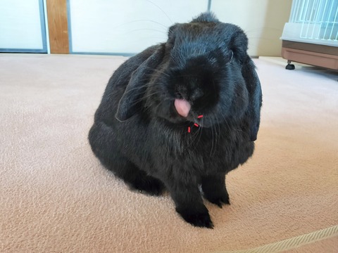 A3B3079F-A297-4CB0-B6B7-111CA25D79AE