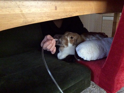 E566D8D6-BC5D-4632-A66B-77F7222D49DD