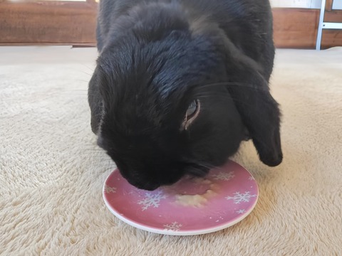 594B7C17-0E50-485D-968C-AE5CE2E07F0F