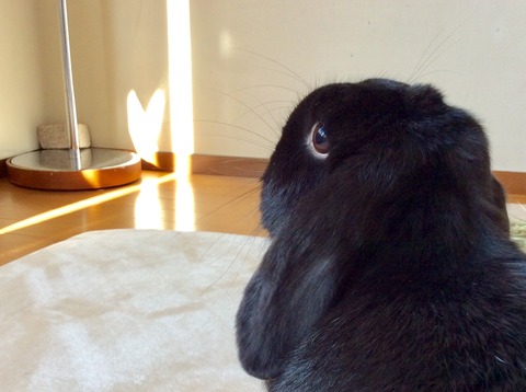 92861FA8-C937-4234-833D-147C8270EF03