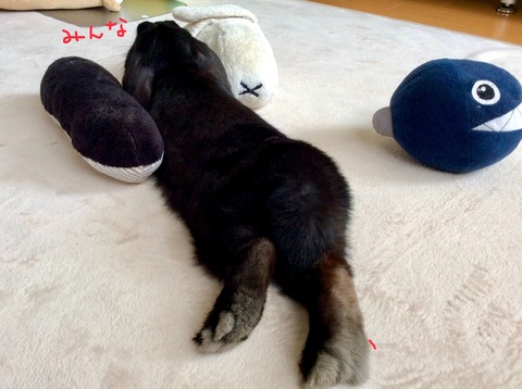 D376F2AF-B516-472E-B617-DA470958C137