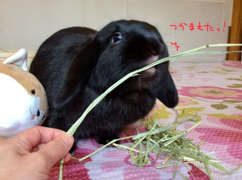 5F479F6C-6DEF-4481-8FC4-54EF62EF0015