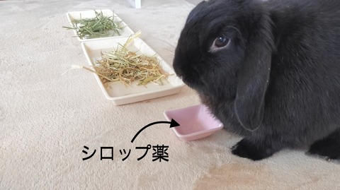 0256EE39-E135-4ADC-911A-52695AEBF923