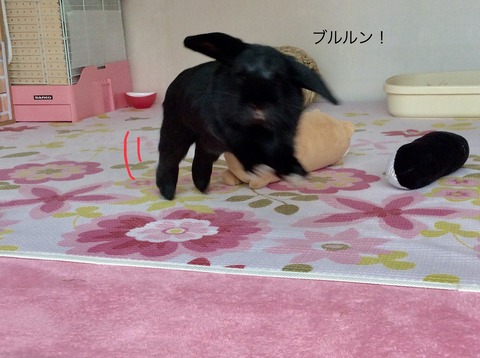 76F0AD1D-9F73-49C2-BF2B-0A97EDAB2B49