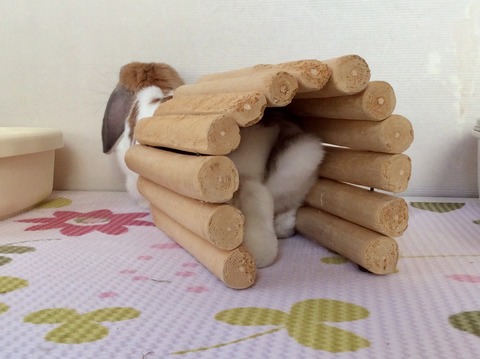 0BF58853-B2FC-4460-AD55-BBA33F5B3A9F