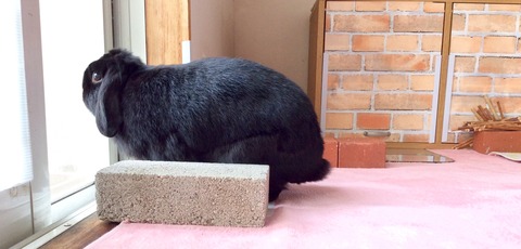 87E2BD77-257C-417B-90A3-F679BEDF41B9