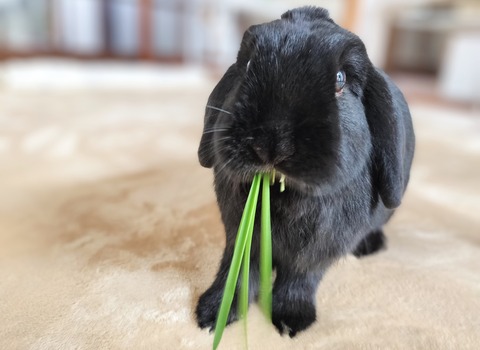 EEB93BD1-5D1B-4729-8ED1-1AAD1A6CCD1F