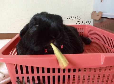 E54F4BE9-1155-4F0F-94AA-E48EABA3FBD7