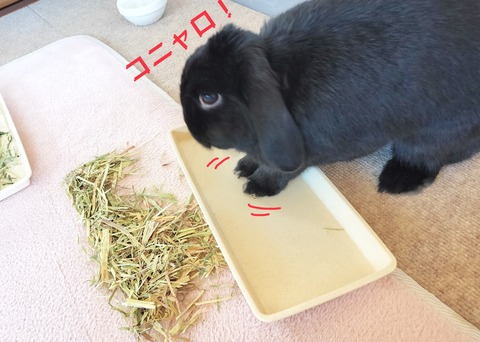 B33FE6DF-F4CA-4416-BD0A-17F411D6F9D4