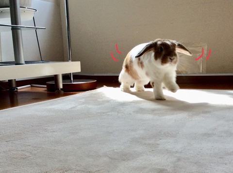 BA162073-7232-4135-88E7-E6233FA8CA35