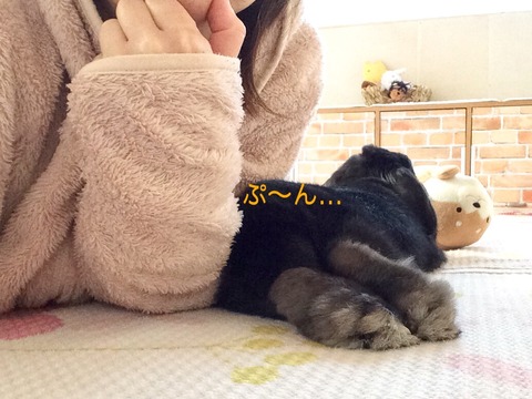 C47FC49C-B524-4762-BCCB-9BC9D6685519