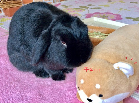 90F2BD43-72A0-4D46-9EB7-58B997740FA5