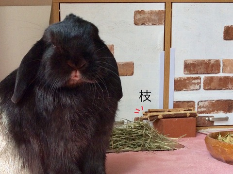 BBBFD397-A12D-4F6F-8559-923BD4ACA0C9