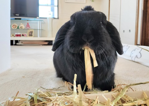 34A30322-8A08-4571-A3BA-CE3FAF11DF88