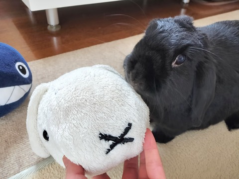 8D98C020-9AFF-4D3F-B48B-62315FCBDD64